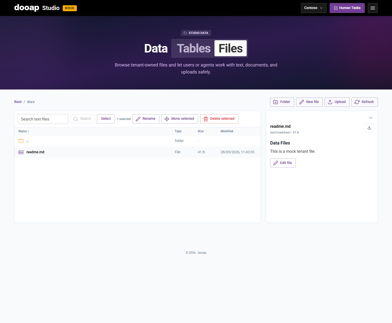 Data File preview
